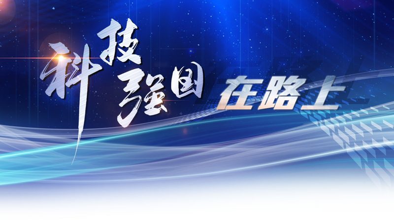 信息化建设项目管理流程书：构建高效IT项目的关键步骤